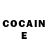 Cocaine Fish Scale Virpi Tuomainen