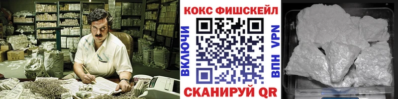 Купить  Сосногорск  COCAIN Fish Scale 