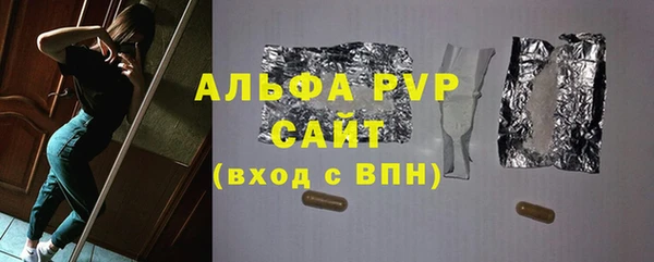 стафф Дмитров