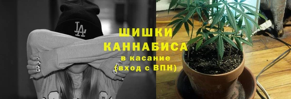 стафф Дмитров