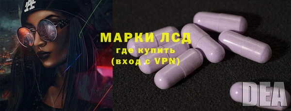стафф Дмитров