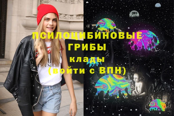 а пвп мука Дмитриев