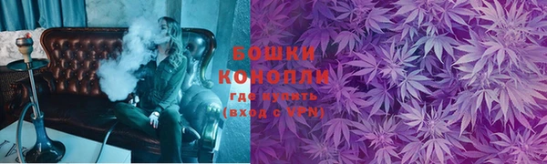 стафф Дмитров
